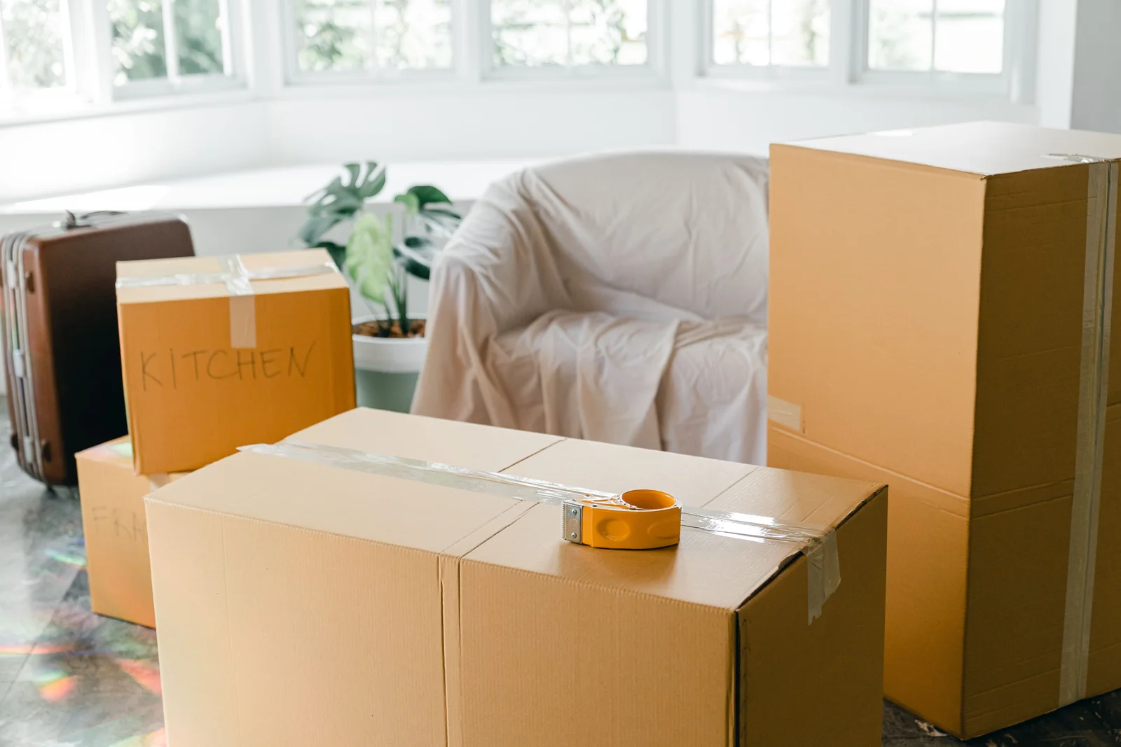Intérieur lumineux avec plantes et cartons préparés pour un déménagement
